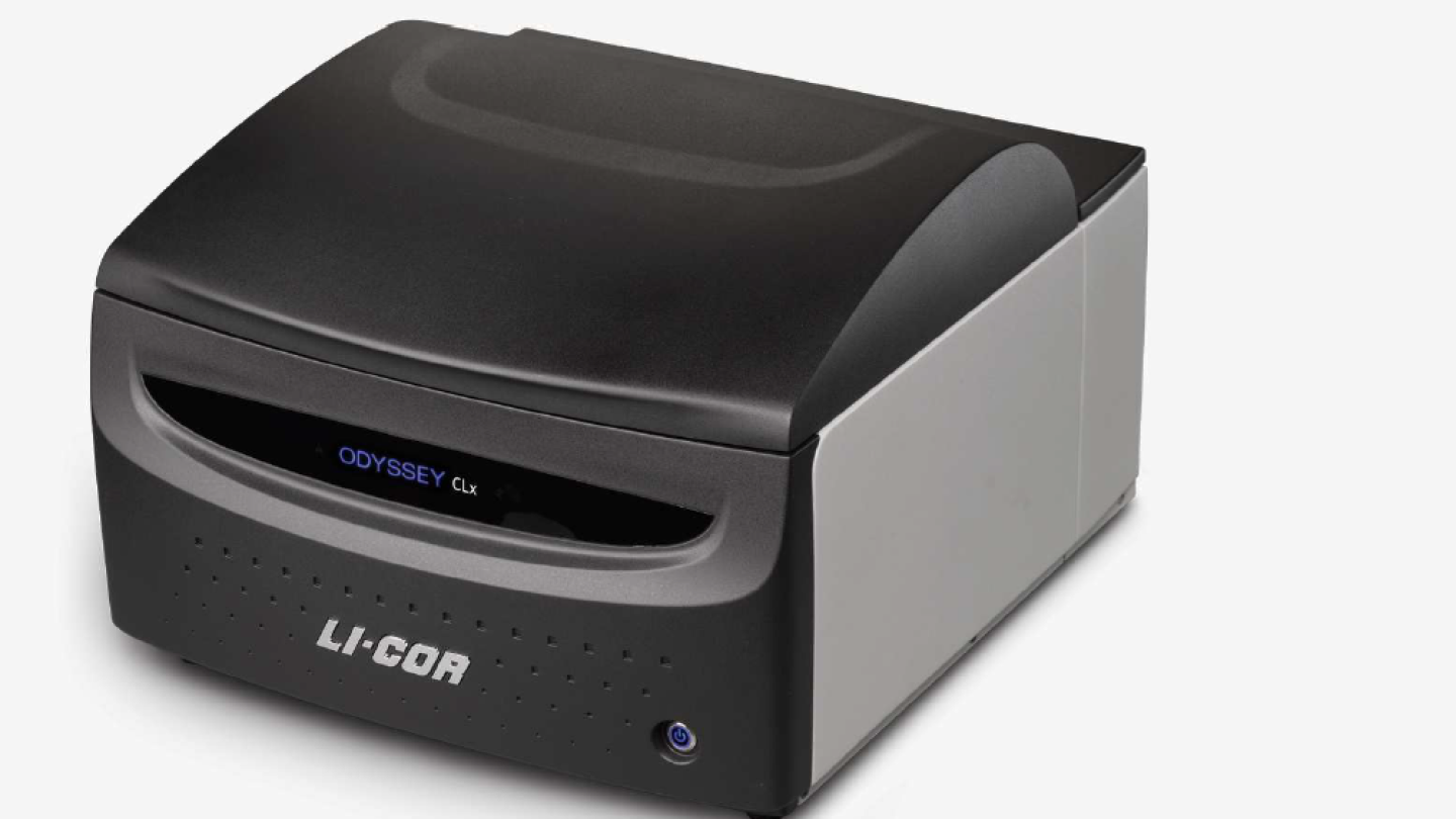 LiCor Odyssey Clx Infrared Fluorescent Western Scanning / Imaging